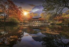 bunt Herbst mit schön Ahorn Blatt im Sonnenuntergang beim baekyangsa Tempel im naejangsan National Park, Süd Korea. foto