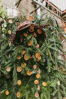 natürlich Dekoration gemacht von trocken Orange Scheiben auf Kiefer Ast. DIY Weihnachten Essen Dekoration. Umfeld, recyceln, Wiederverwendung und Null Abfall Konzept. selektiv Fokus foto