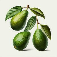 Avocado mit Blätter Weiß Hintergrund Obst gesund frisch Grün Blätter grün. ai generativ foto
