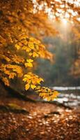 Herbst golden Überdachung beschwingt Laub im das Wald. ai generiert Inhalt foto
