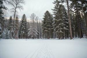 still Winter Wunderland schneebedeckt Wald Landschaft. ai generiert. foto