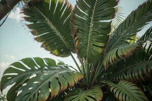 heiter Palme Baum im ein Jahrgang Aquarell Dschungel. ai generiert. foto