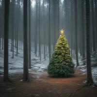 ai generiert Inhalt. verzaubert Winter Wunderland immergrün Wald beim Mitternacht foto