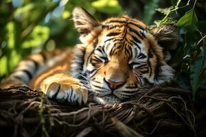 Profil Porträt von Bengalen Tiger. ai generativ foto