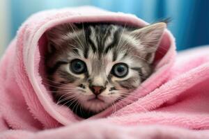 süß Tabby Kätzchen mit Blau Augen eingewickelt im ein Rosa Handtuch, süß nass grau Tabby Katze Kätzchen nach Bad eingewickelt im Rosa Handtuch mit Blau Augen, ai generiert foto