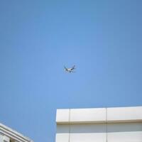 Neu Delhi, Indien, April 16 2023 - - Aussicht Airbus a320 Neo nehmen aus von indra Gandhi International Flughafen Delhi, Aussicht inländisch Flugzeug fliegend im das Blau Himmel während Tag Zeit foto