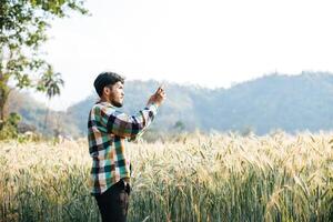 Smart Farmer überprüft Gerstenfarm mit Tablet-Computer foto