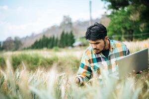 intelligenter Bauer, der Gerstenfarm mit Laptop überprüft foto