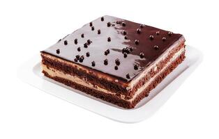 Schokolade Kuchen auf ein Weiß Teller foto