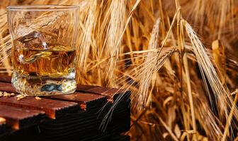 Glas von Whiskey im ein Feld mit Ohren foto