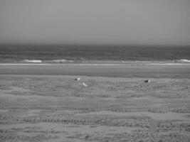 die insel langeoog foto