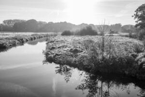 früh Morgen beim ein Fluss im Deutschland foto