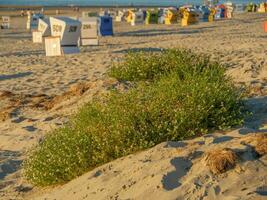 die insel langeoog foto