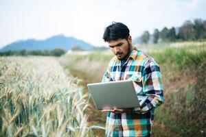 intelligenter Bauer, der Gerstenfarm mit Laptop überprüft foto