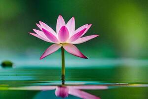 ein Single Rosa Lotus Blume ist schwebend im das Wasser. KI-generiert foto