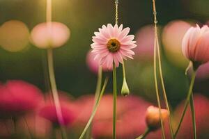 Rosa Blumen im ein Feld mit Sonne leuchtenden. KI-generiert foto