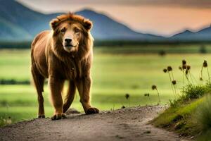 ein Löwe Gehen auf ein Straße im Vorderseite von ein Berg. KI-generiert foto