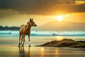 ein Pferd ist Gehen auf das Strand beim Sonnenuntergang. KI-generiert foto