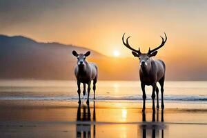 zwei Hirsch Stehen auf das Strand beim Sonnenuntergang. KI-generiert foto