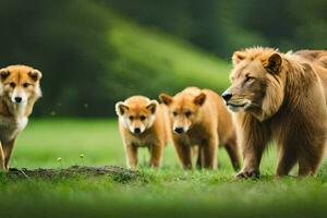 ein Gruppe von Löwen Gehen im das Gras. KI-generiert foto