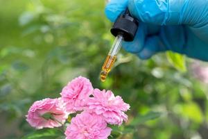 Wissenschaftler Doktor, der eine Flasche Rosenkräuterölpflanze für die Haut hält foto