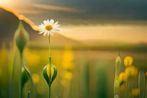 ein Single Gänseblümchen ist Stehen im das Mitte von ein Feld. KI-generiert foto