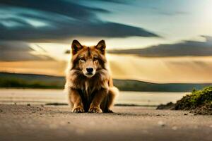 ein Hund Sitzung auf das Strand beim Sonnenuntergang. KI-generiert foto