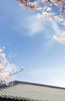schöner Frühlingsblumenhintergrund, Jahreszeitthema, hallo Frühling foto