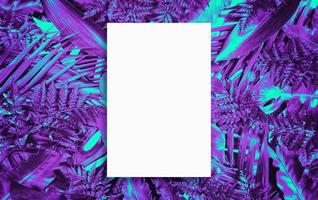 fluoreszierender Sommerhintergrund, abstrakter Sommerrahmen, Banner foto