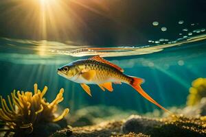 ein Fisch Schwimmen im das Ozean mit Sonnenlicht leuchtenden durch das Wasser. KI-generiert foto