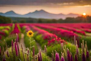 ein Feld von Blumen mit Berge im das Hintergrund. KI-generiert foto