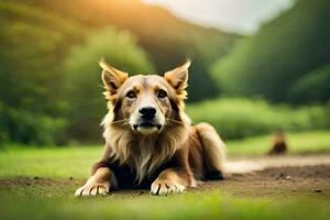 ein Hund Verlegung auf das Boden im das Gras. KI-generiert foto