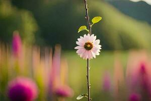 ein Single Rosa Blume ist Stehen im Vorderseite von ein Feld. KI-generiert foto