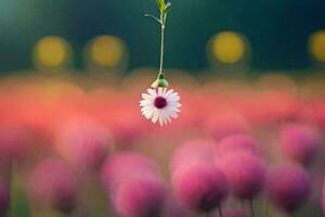 ein Single Blume hängend von ein Ranke im ein Feld. KI-generiert foto