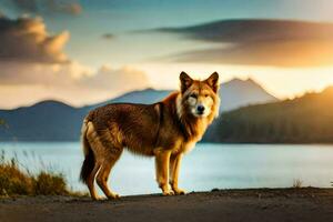 ein Hund Stehen auf das Straße beim Sonnenuntergang. KI-generiert foto