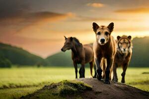 Foto Hintergrund das Himmel, Tiere, Sonnenuntergang, Tiere, Pferde, Tiere, Tiere, Tiere,. KI-generiert