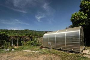 moderner Gewürztrocknungs-Gewächshausraum in Kampot-Pfefferfarm in Kambodscha foto