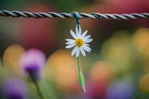 ein Gänseblümchen ist hängend von ein Kabel. KI-generiert foto