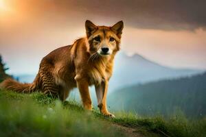 ein Hund ist Stehen auf ein Hügel im Vorderseite von ein Berg. KI-generiert foto