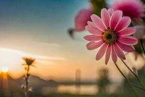 Rosa Blumen im das Sonnenuntergang. KI-generiert foto