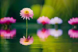 Rosa Blumen im das Wasser mit Grün Blätter. KI-generiert foto