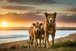 zwei Hunde Stand auf das Strand beim Sonnenuntergang. KI-generiert foto