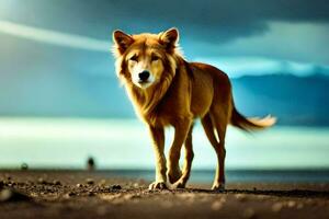 ein Hund Gehen auf das Strand mit ein dunkel Himmel. KI-generiert foto