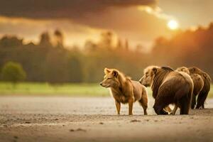 drei Löwen Gehen auf das Strand beim Sonnenuntergang. KI-generiert foto