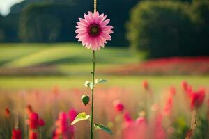 ein Rosa Blume steht im das Mitte von ein Feld. KI-generiert foto