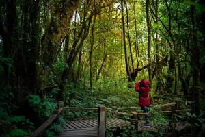 Frauenfotograf, der ein Foto am morgendlichen Bergwald macht