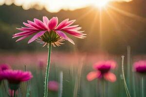 Rosa Blume im das Sonne mit ein Feld von Blumen. KI-generiert foto