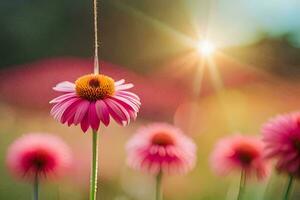 Rosa Blumen im ein Feld mit Sonne leuchtenden. KI-generiert foto