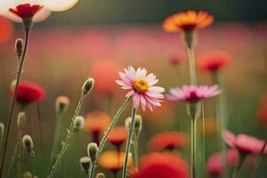 Blumen im ein Feld beim Sonnenuntergang. KI-generiert foto