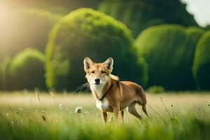 ein Hund ist Stehen im das Gras im Vorderseite von Bäume. KI-generiert foto